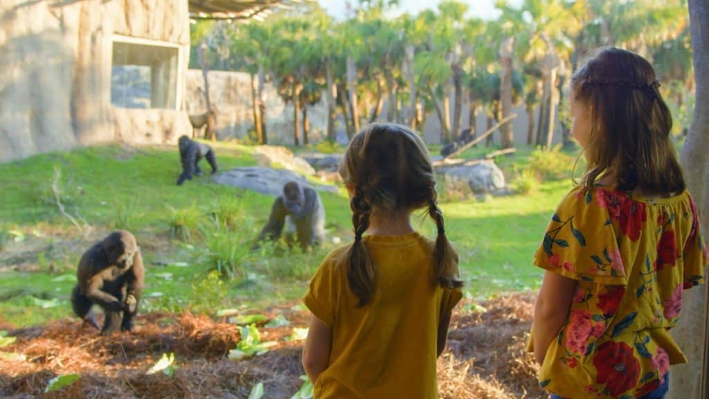 Jacksonville Zoo tickets, prices, discount, animals to see, train ride