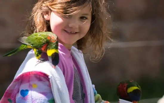 Girl with parrots in Lorikeet Gardens