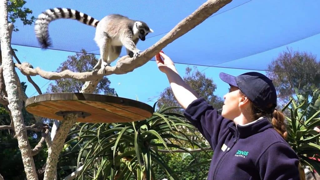 Grădina zoologică din Melbourne