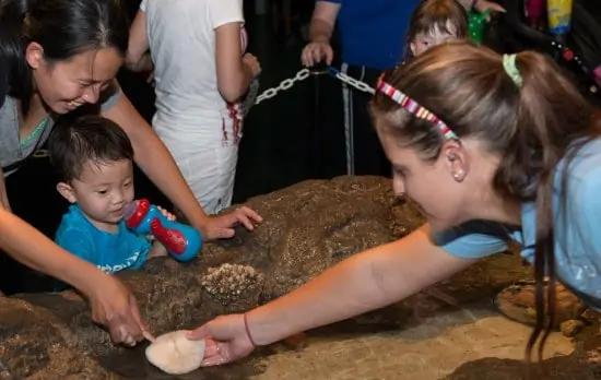 Tide Pool Touch at Columbus Zoo