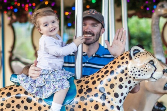 Wildlife Carousel