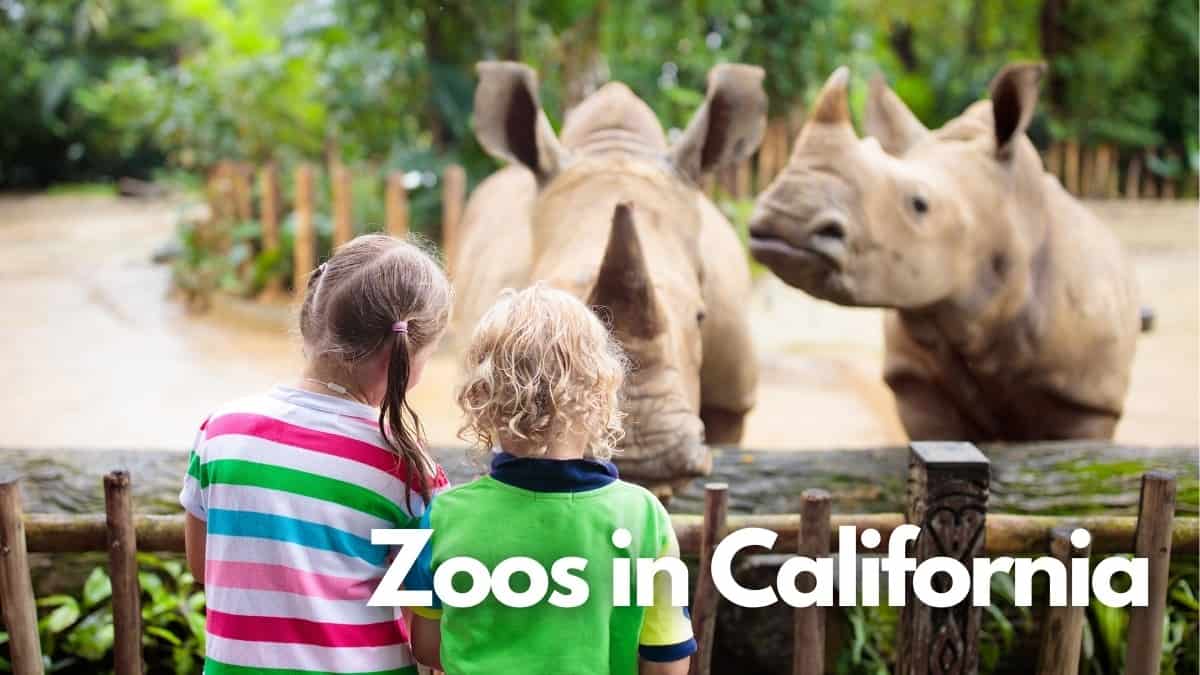 Zoos in California