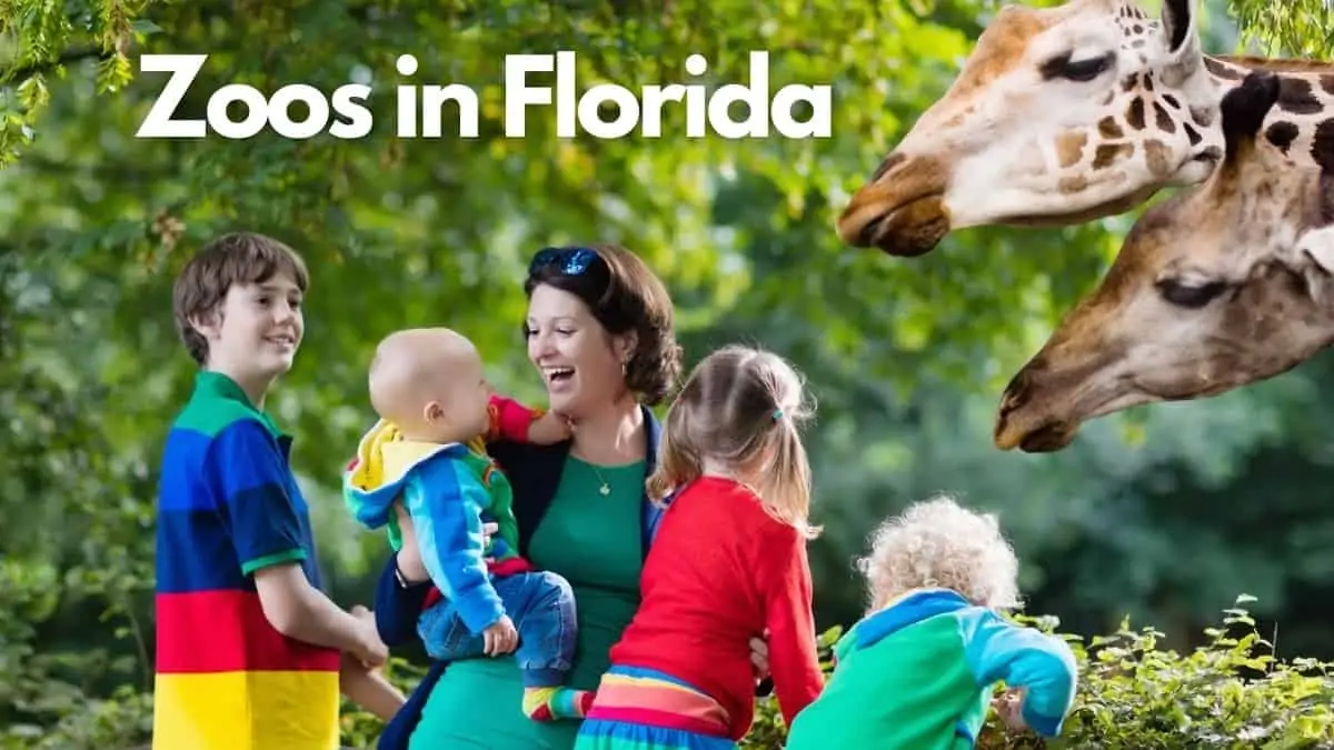 Zoos in Florida