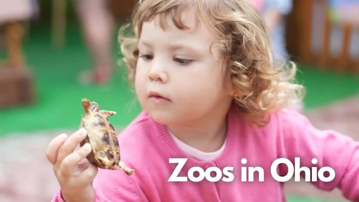 Zoos in Ohio