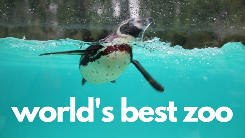 World's Best Zoo