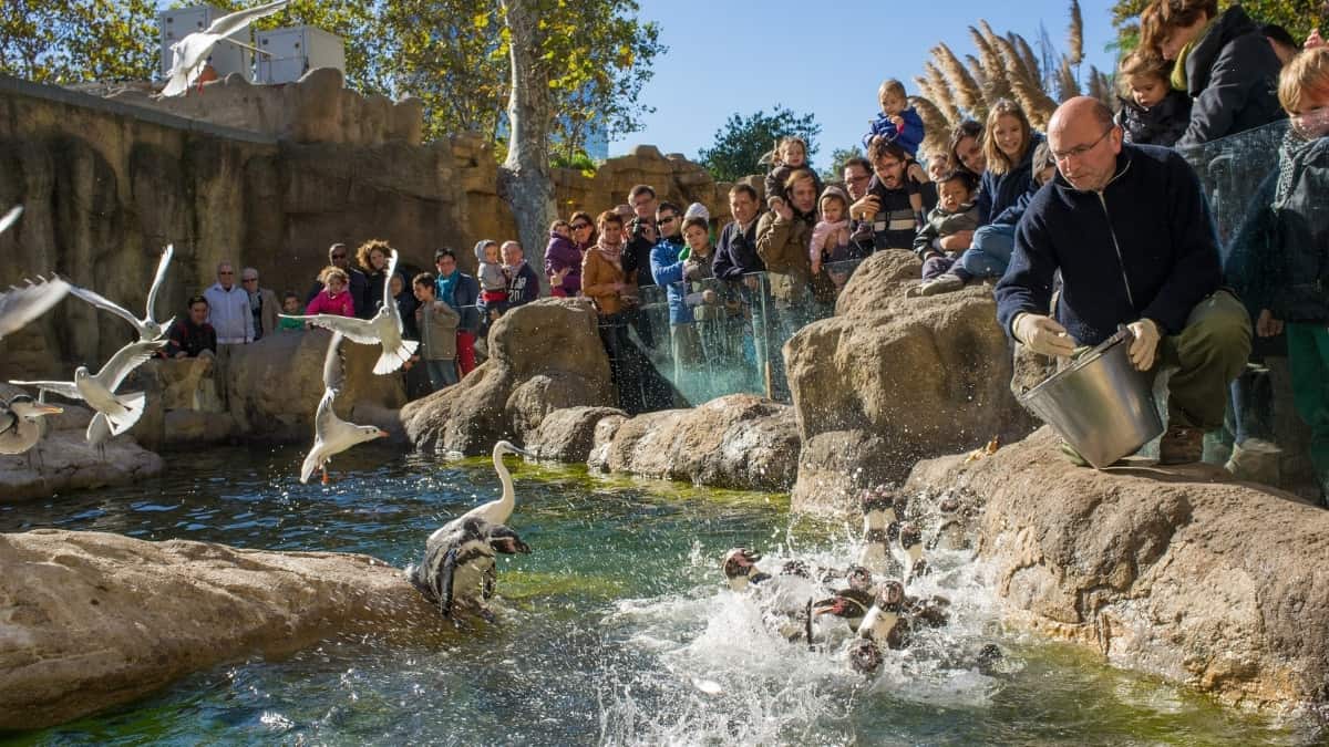 Barcelona Zoo tickets, prices, discounts, animals, Dolphin Show