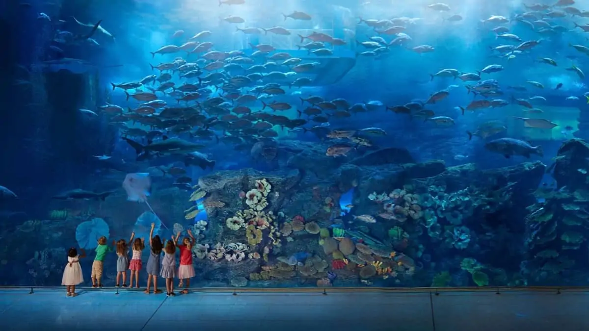 Dubai Aquarium & Underwater Zoo - tickets, prices, discounts, animals