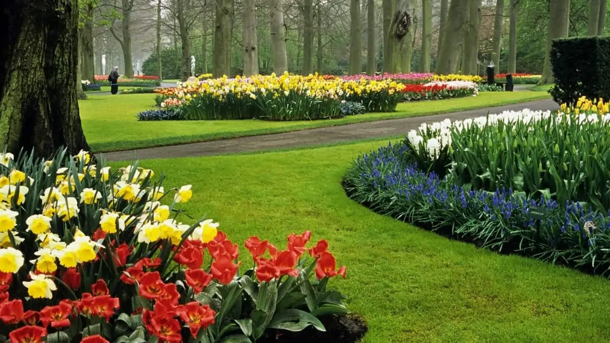 keukenhof gardens dining room