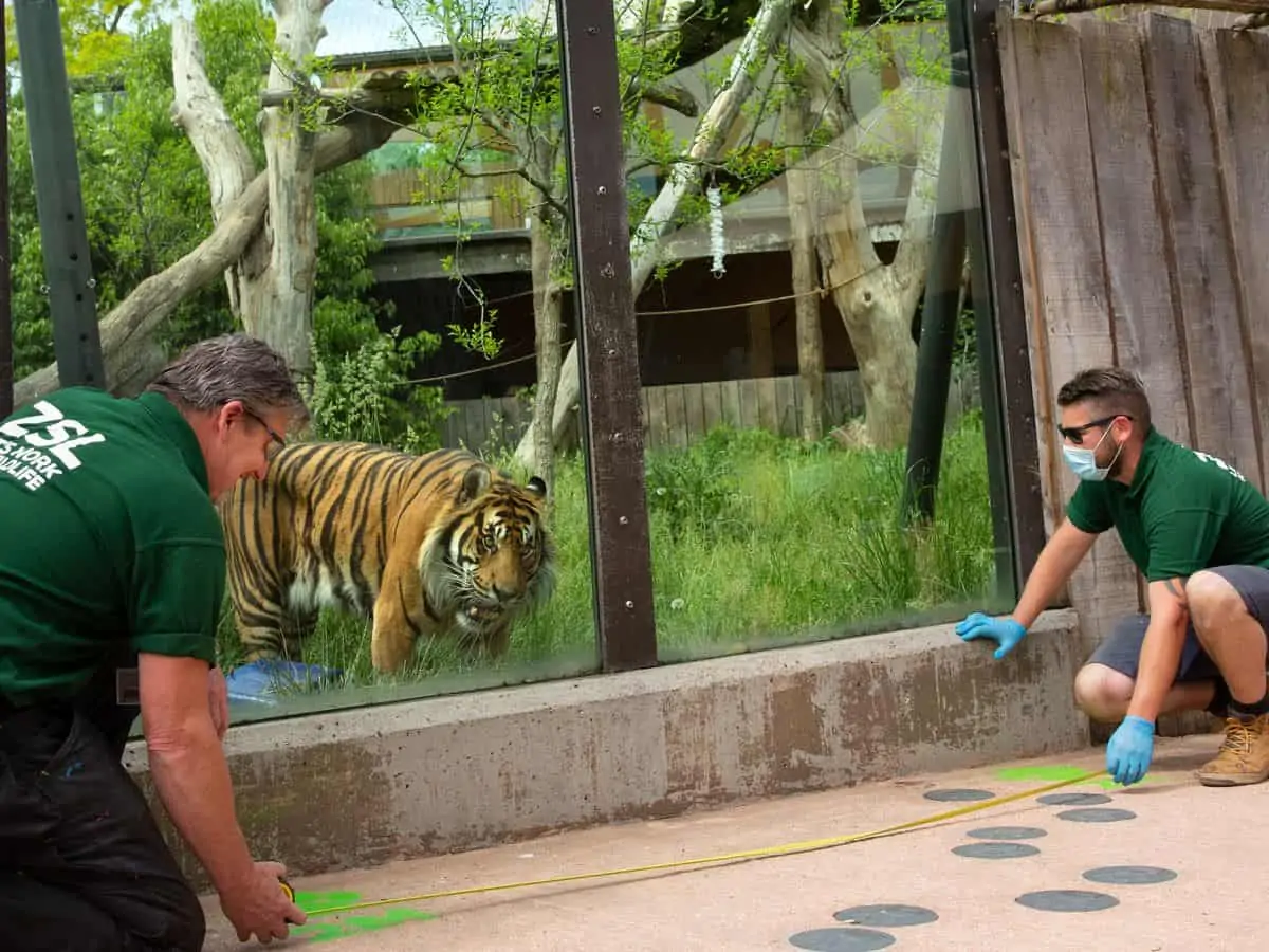 ロンドン動物園