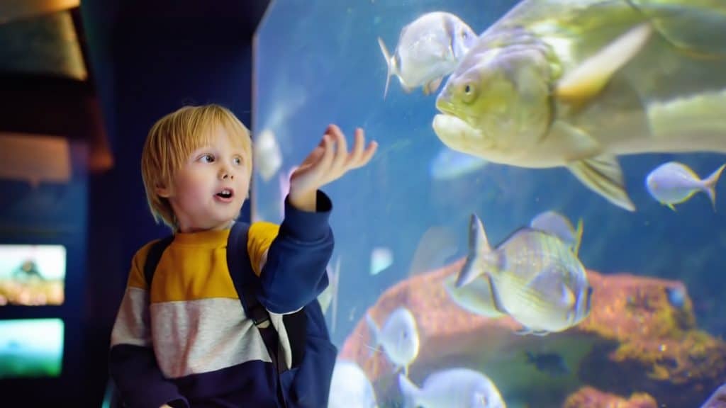 邁阿密水族館