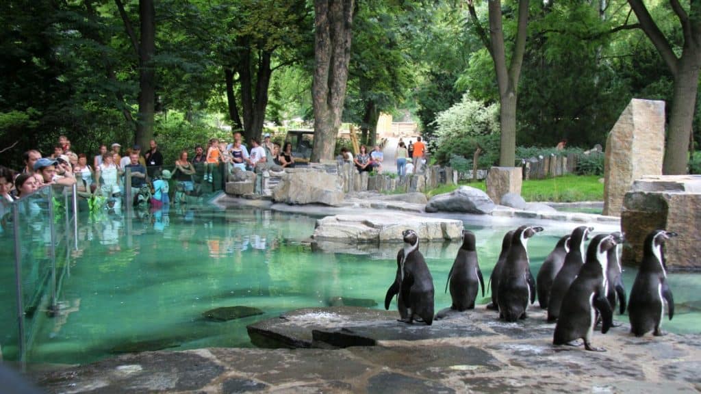 Pražská zoo