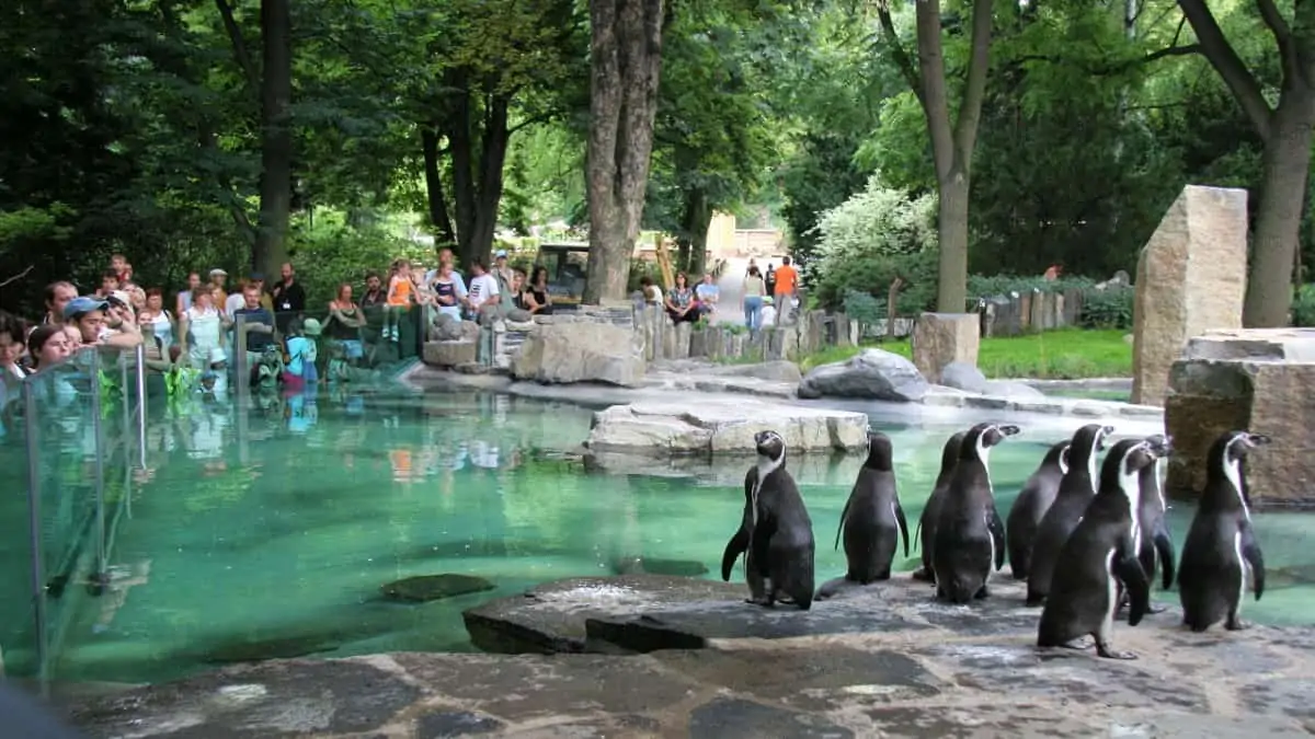 zoo praha