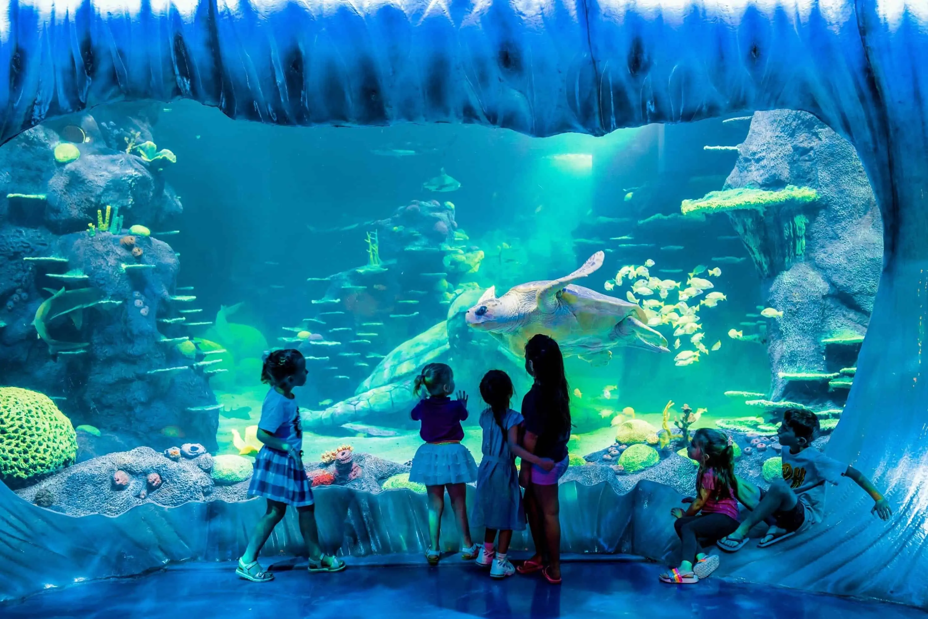 Sydney Aquarium - tickets, kortingen, wat te