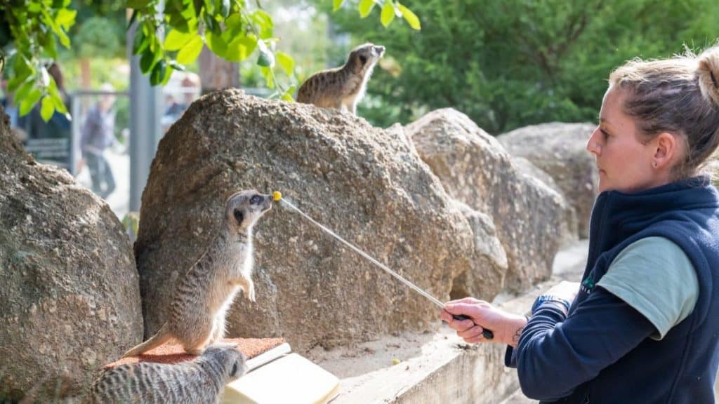 Zoo Werribee, Melbourne