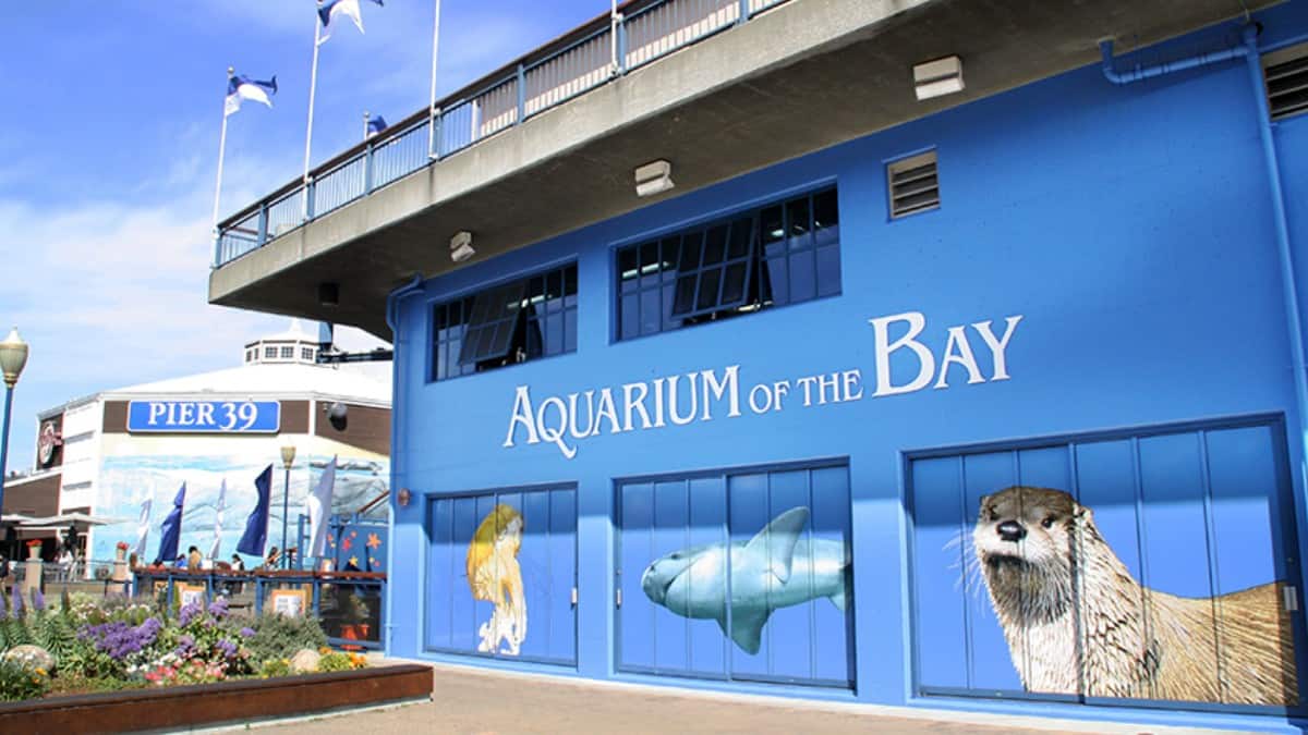 San Francisco aquarium