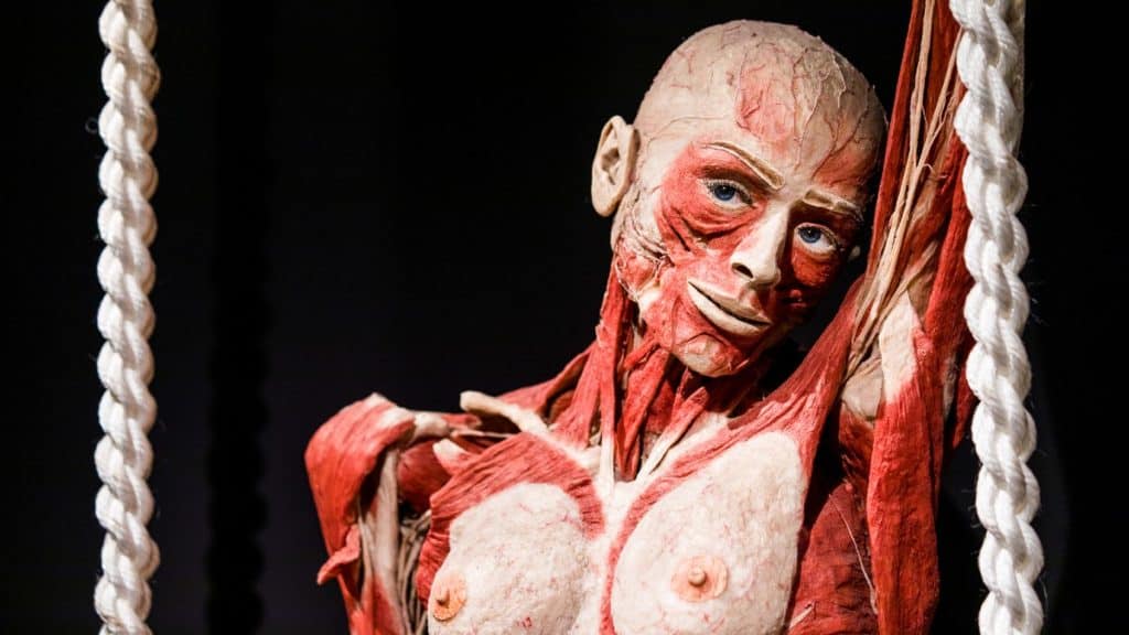 Body Worlds in Amstardam