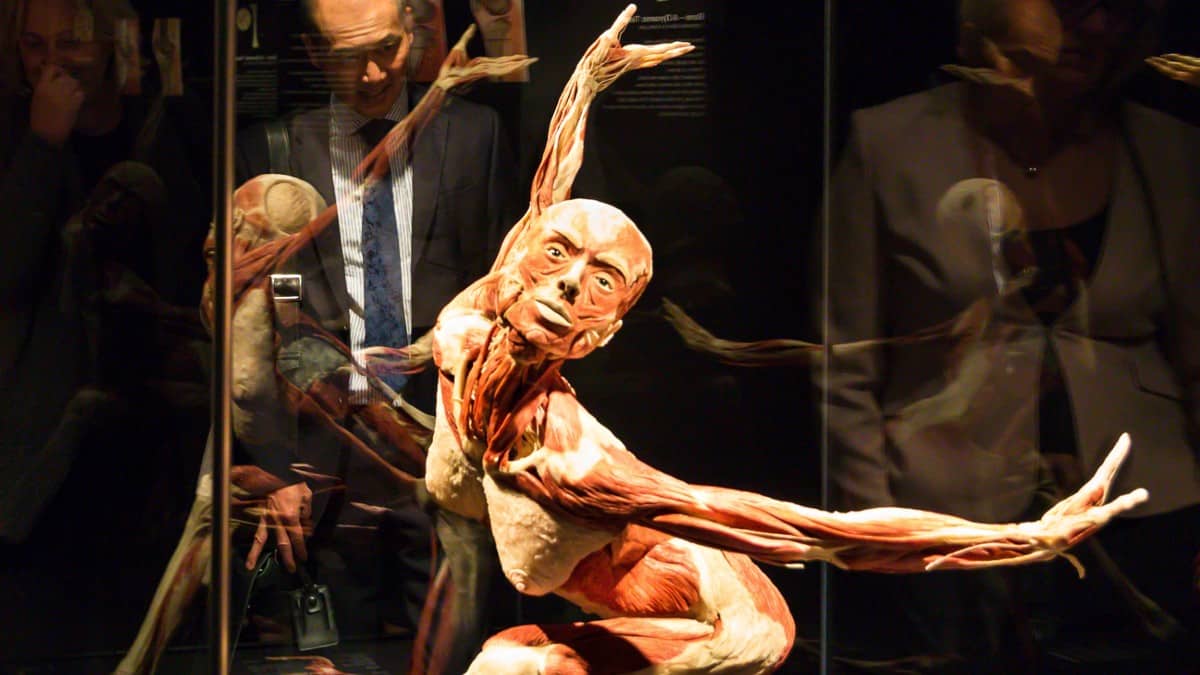 Body Worlds Berlin