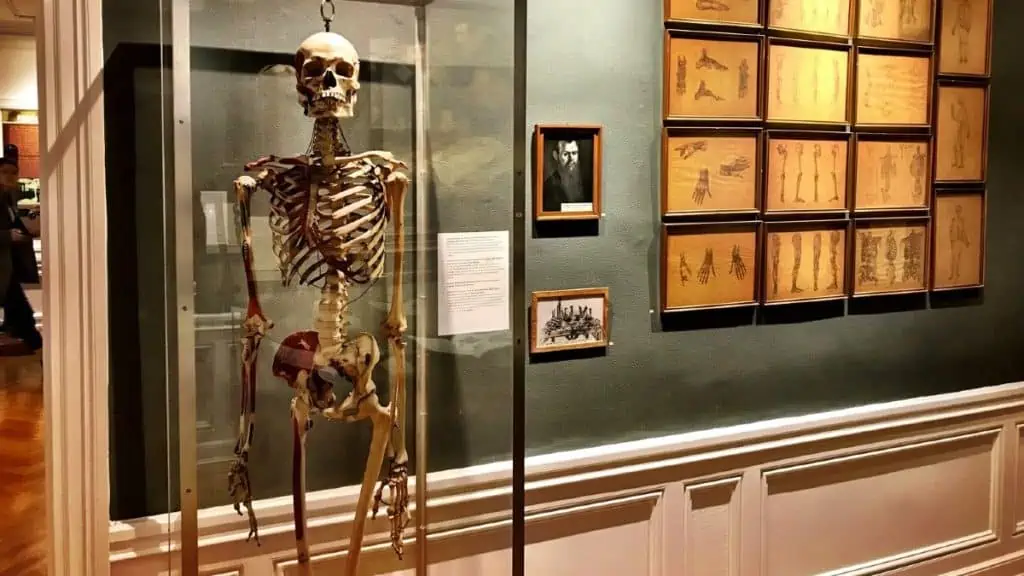 International Museum of Surgical Science