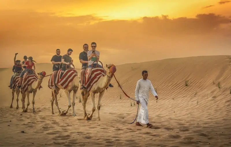 Safari at Al Khayma Camp