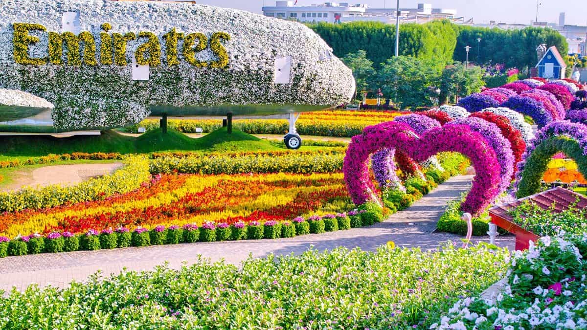 Miracle garden дубай как добраться