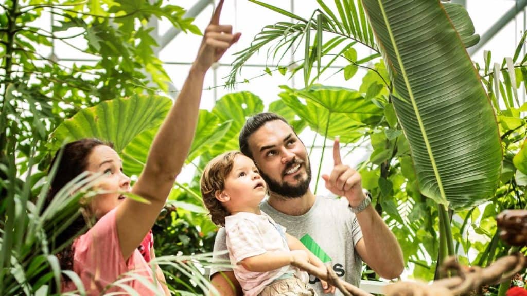 Family in Green Planet Dubai