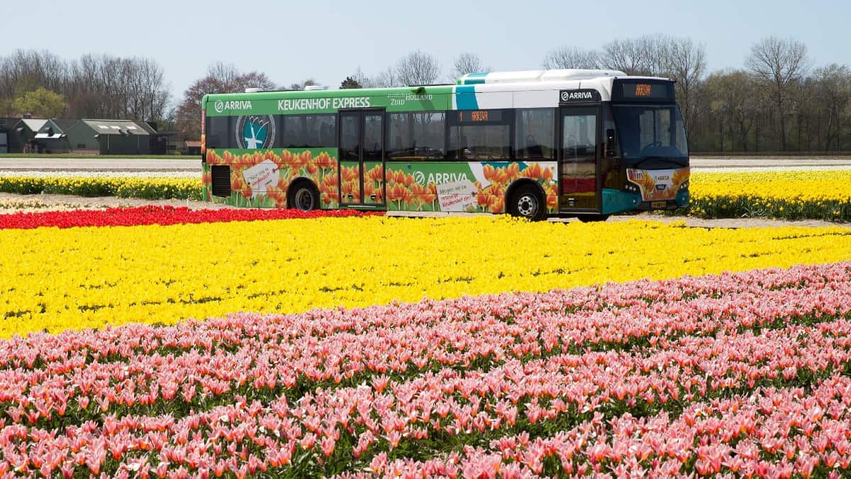 Keukenhof Gardens from Amsterdam - by Keukenhof Express Bus, car, train