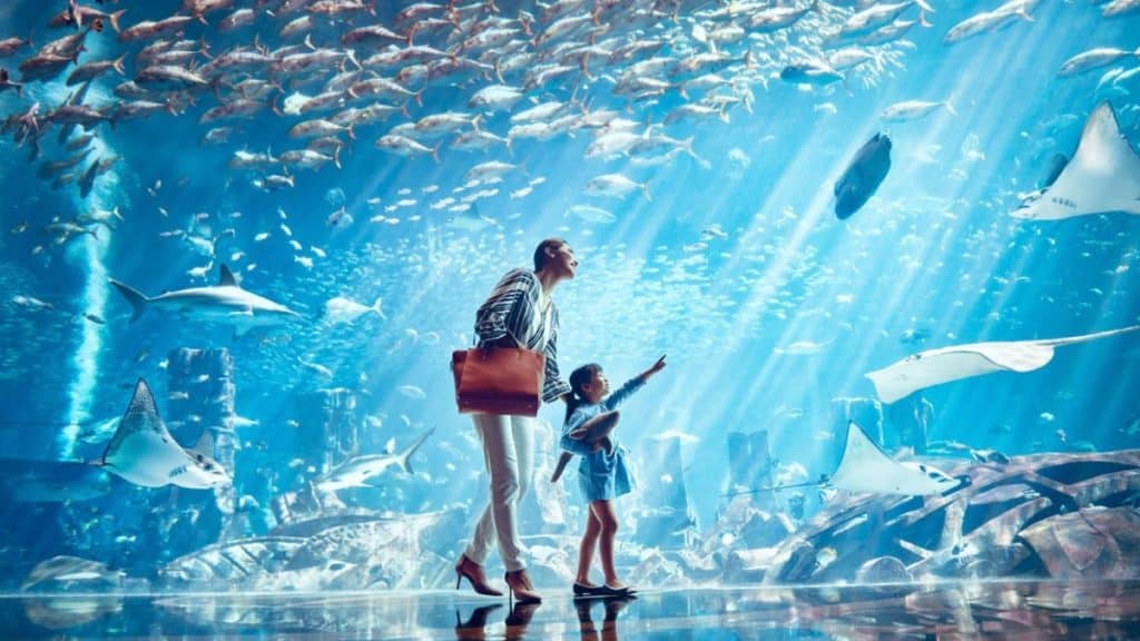 Woman and child enjoying Lost Chambers Aquarium