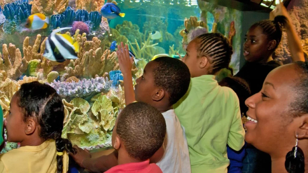 Kids enjoy New England Aquarium