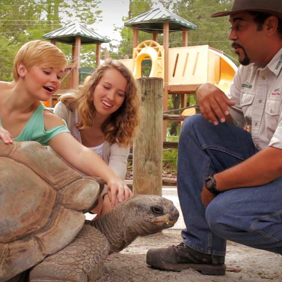 Visitors in Gatorland