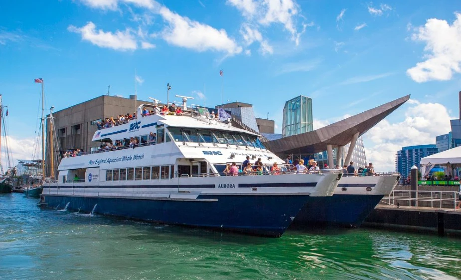 Whale Watching cruise departs from Boston Harbor