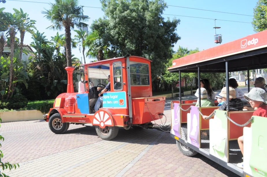 Train at Lisbon Zoo