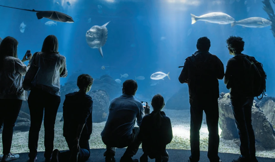 Visitors in Oceanário de Lisboa