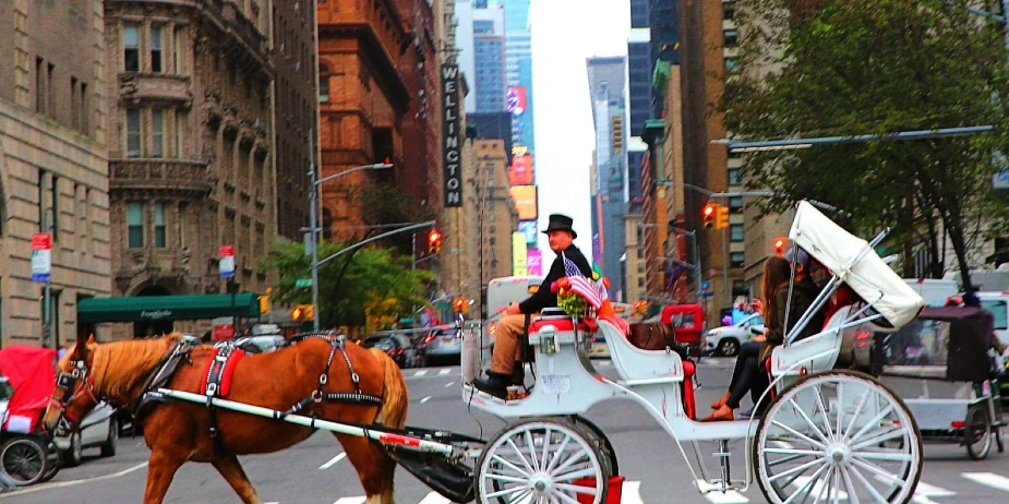 romantic carriage rides in 