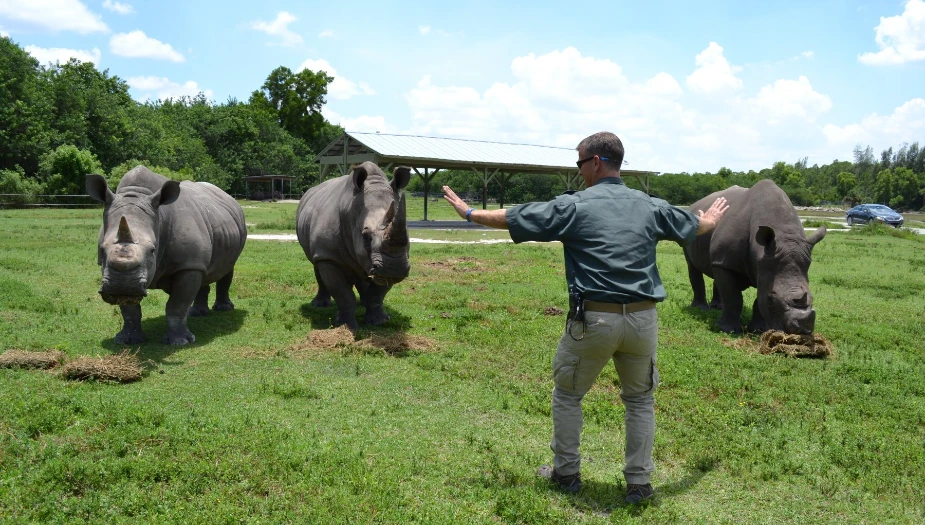 Lion Country Safari tickets, prices, discounts, best time to visit