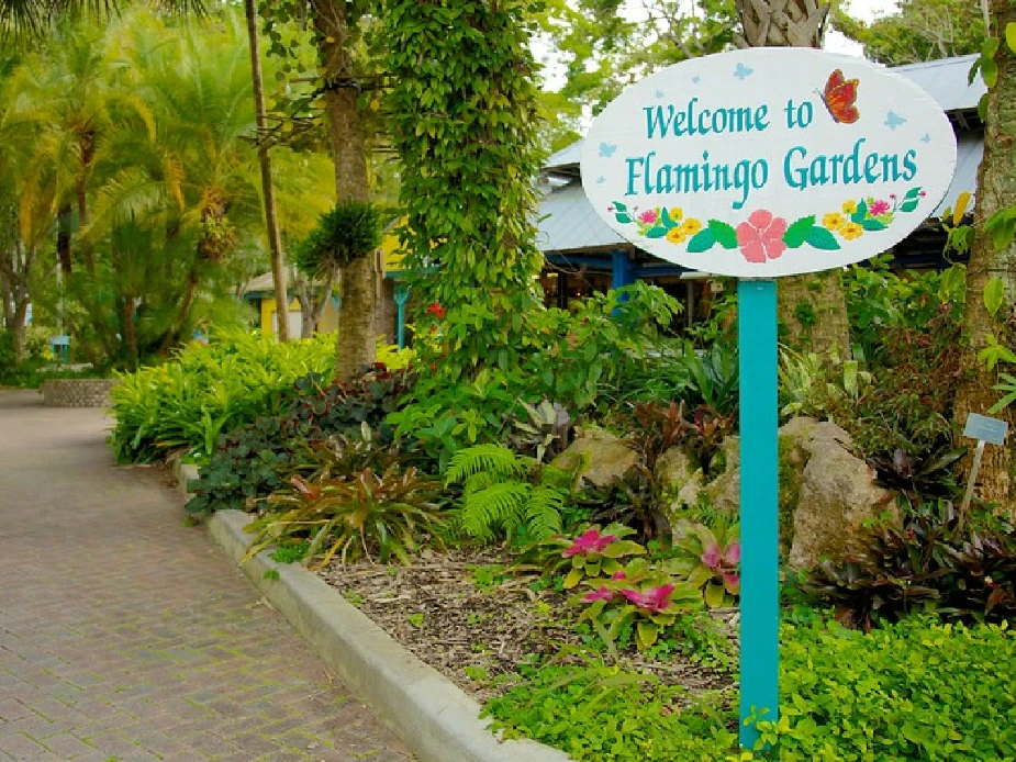 How to reach Flamingo Gardens