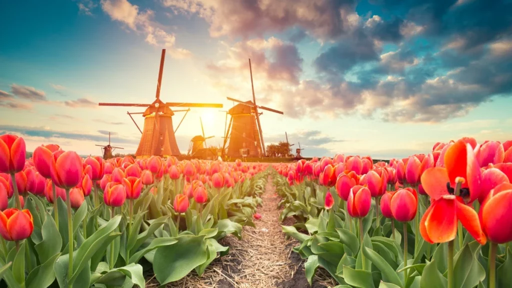 5-day itinerary for Amsterdam