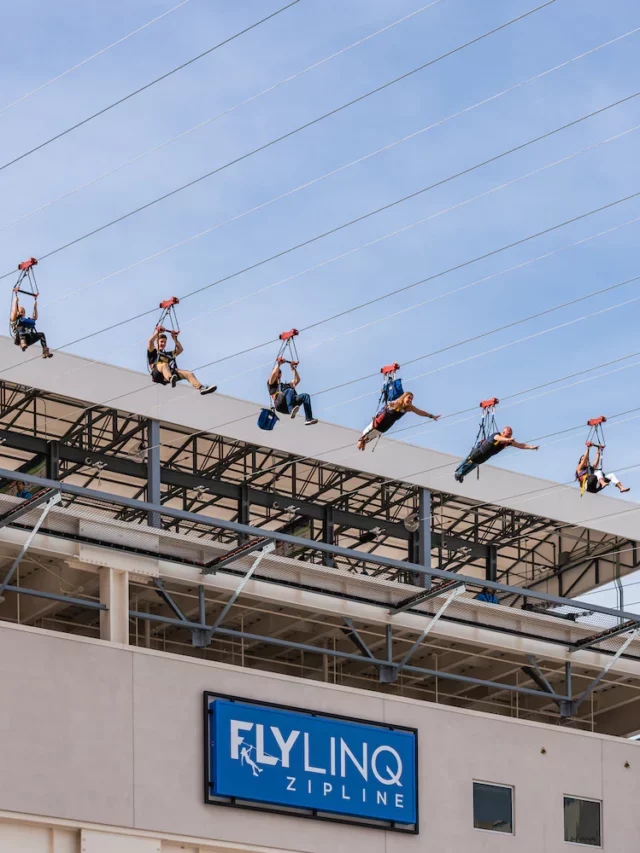 Fly Linq Zipline: Top 13 Things to Know Before You Visit