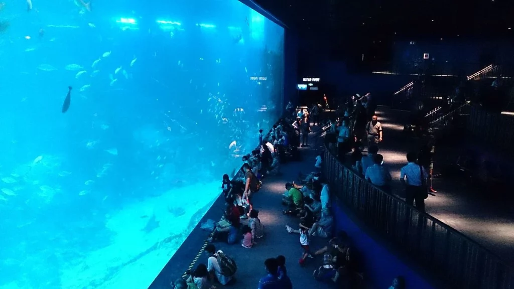 SEA Aquarium Singapore