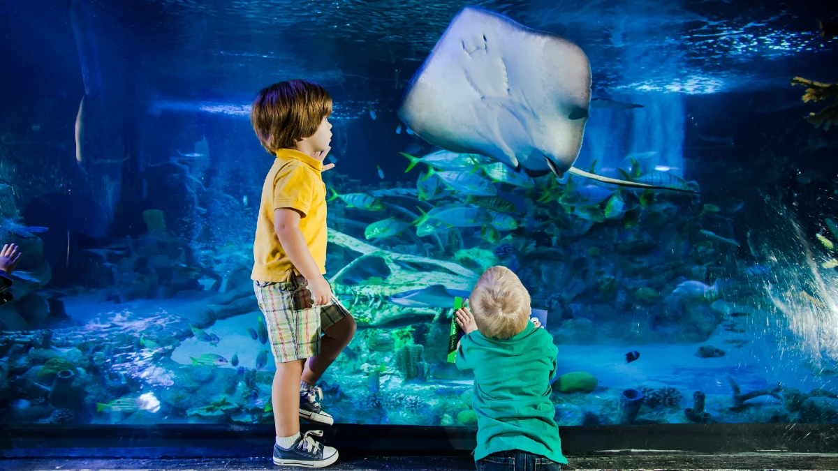 SEA LIFE Aquarium at Gardaland