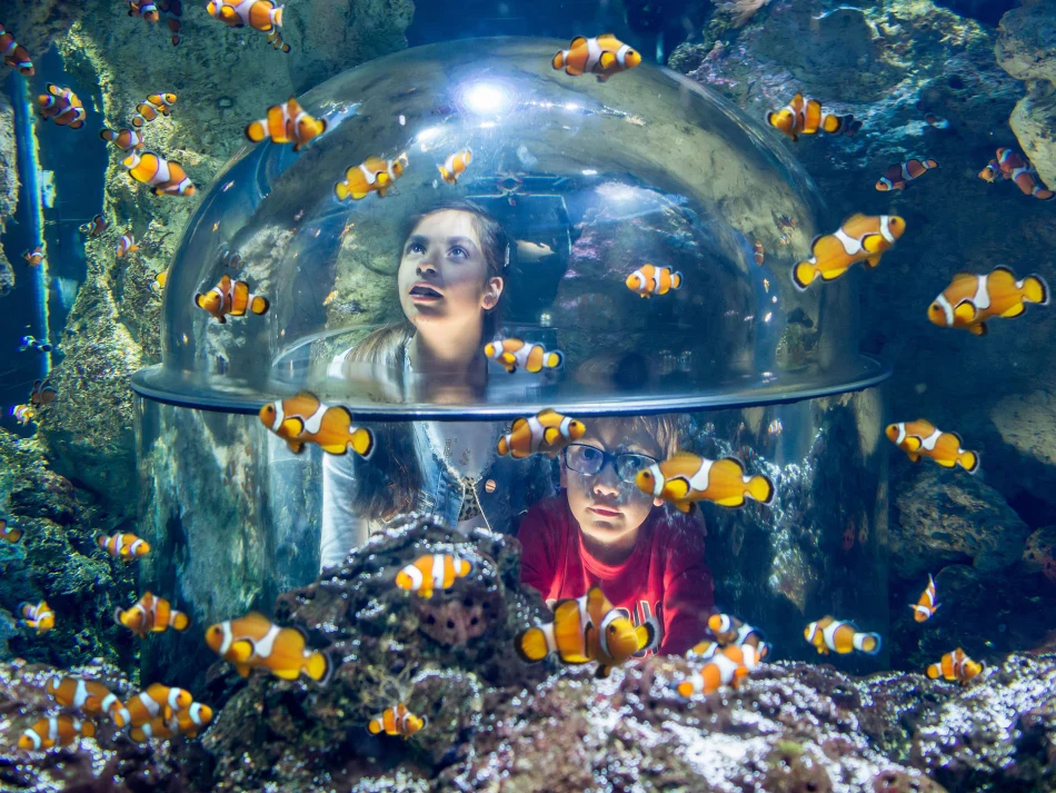 Kids enjoy Sea Life Aquarium at Gardaland