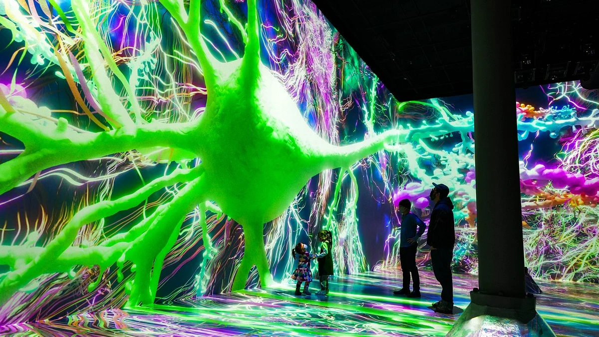 ARTECHOUSE Immersive Art Experience