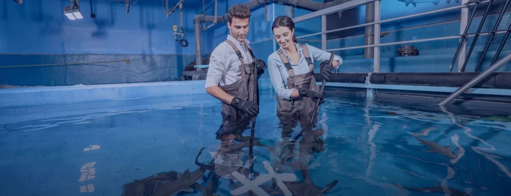 Dubai Aquarium and Underwater Zoo.