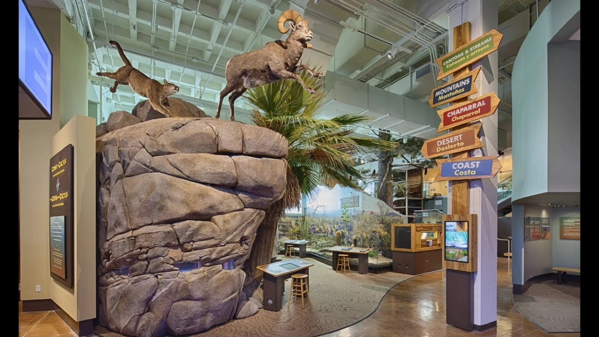 san-diego-natural-history-museum-tickets-preise-zeiten-was-sie