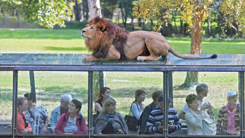 Kebun Binatang ThoirySafari