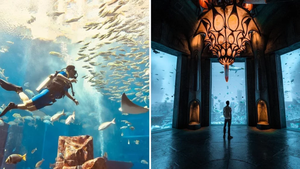Tickets for Atlantis Aquaventure and Lost Chambers
