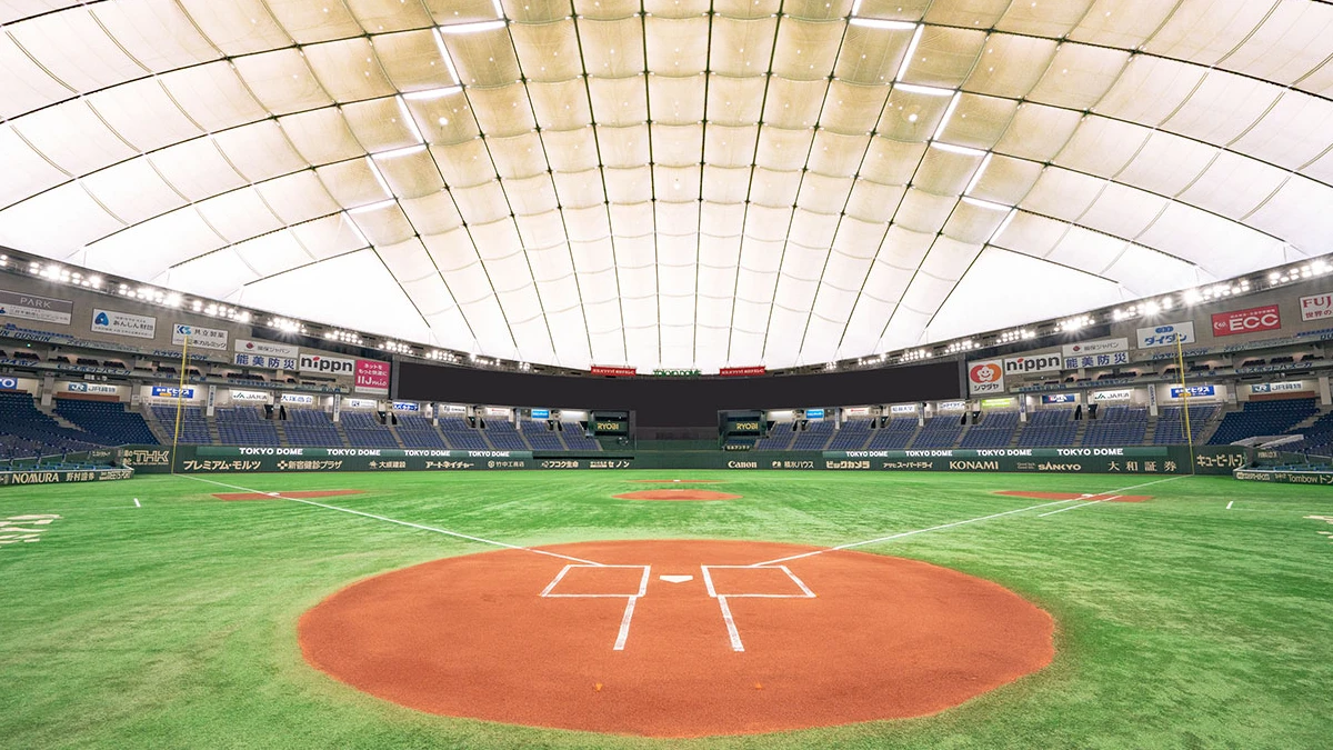 Tokyo Baseball Tour