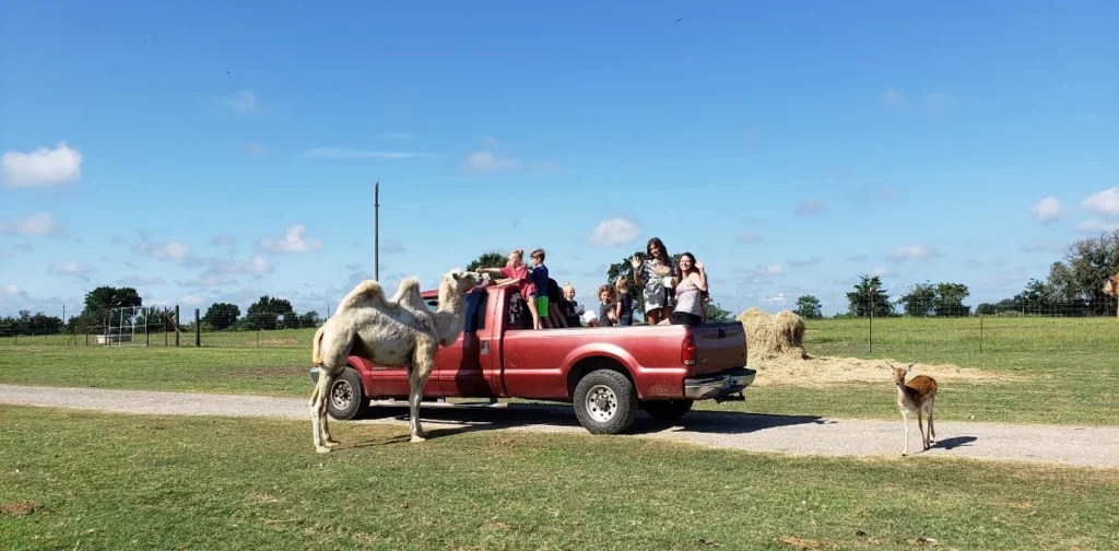 Best time to visit Franklin Drive Thru Safari