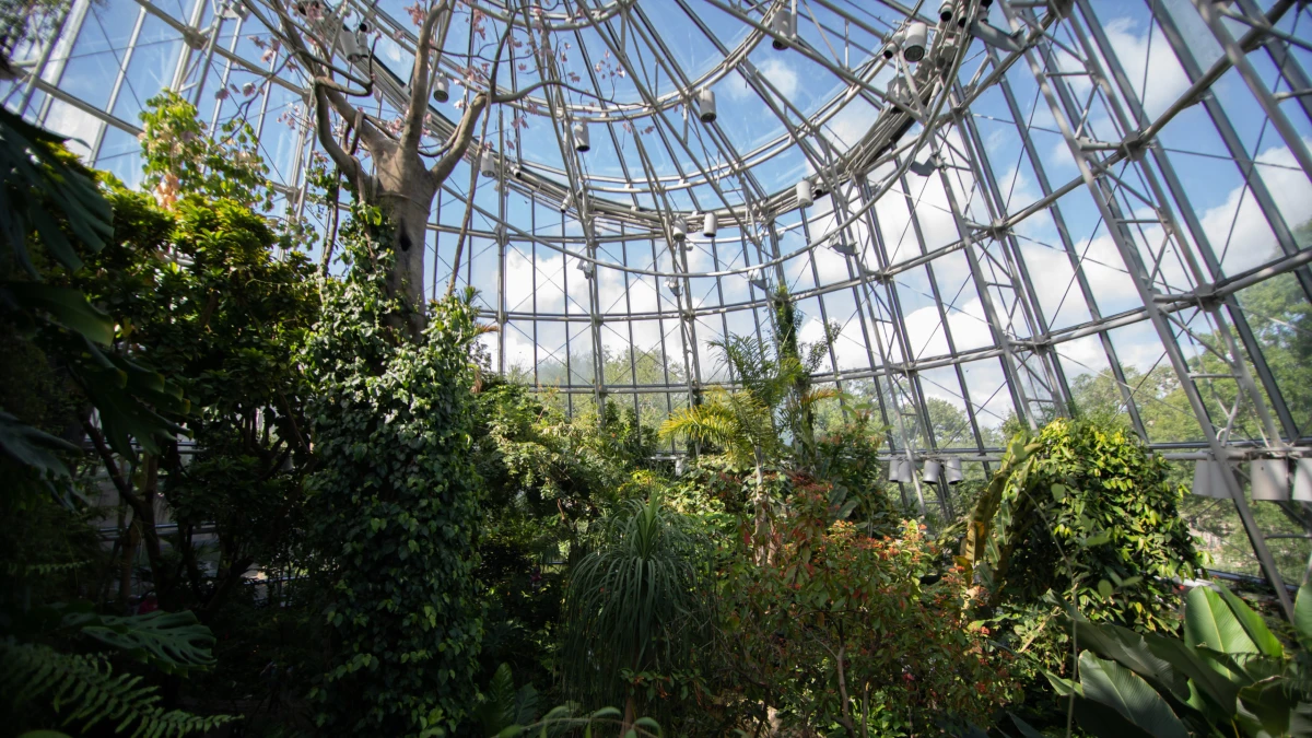 Cockrell Butterfly Center