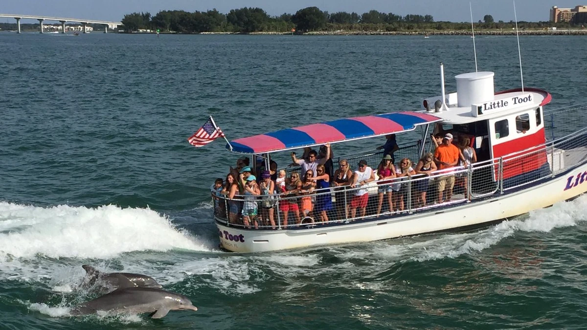 Dolphin Sightseeing Cruise Tampa