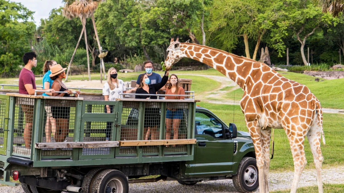 serengeti safari prix